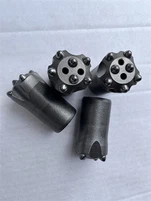 Tilspidset stenbit